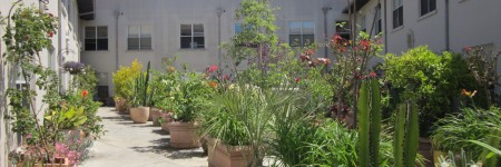 Garden-Courtyard-St-George