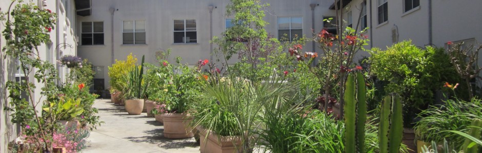 Outdoor Courtyard